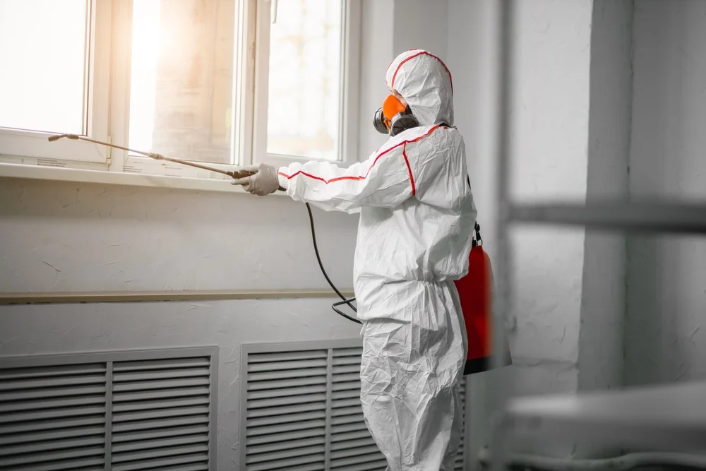 Professional mold remediation services in Hazel Crest, IL
